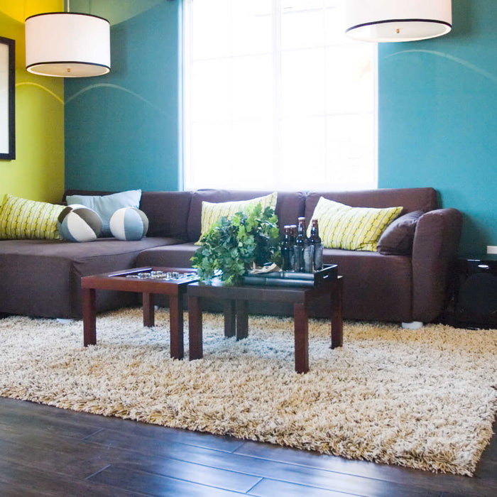 Rug size guide – Shaggy rug in living room
