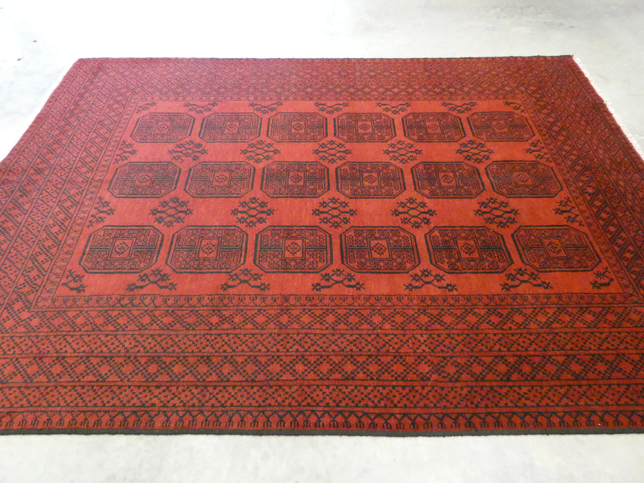 Afghan Hand Knotted Turkman Rug Size:  203cm x 296cm - Rugs Direct