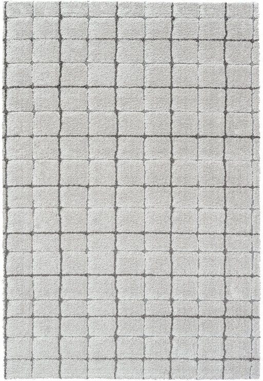 Luxurious Textured Modern Design Masai Rug (14003-2181) - Rugs Direct