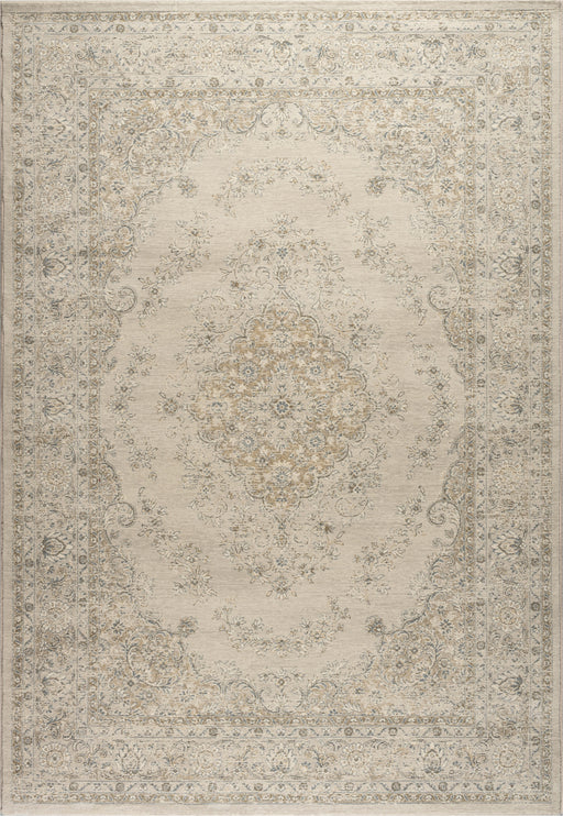 Traditional Washed Out Look Da Vinci Rug (57468-9696) - Rugs Direct
