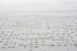 Contemporary Beige Distressed Lattice Harmony Rug (59017-6565) - Rugs Direct