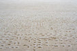 Minimalist Warm Beige Textured Lattice Harmony Rug (59017-9595) - Rugs Direct
