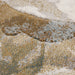 Contemporary Earthy Botanical Tapestry Argentum Rug (63991-1219) - Rugs Direct
