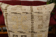 Handmade Turkish Kilim Cushion Cover 50 x 50cm with Insert | Original Anatolian Kilim | Organic Cotton Backing | TK26-C735- Rugs Direct 