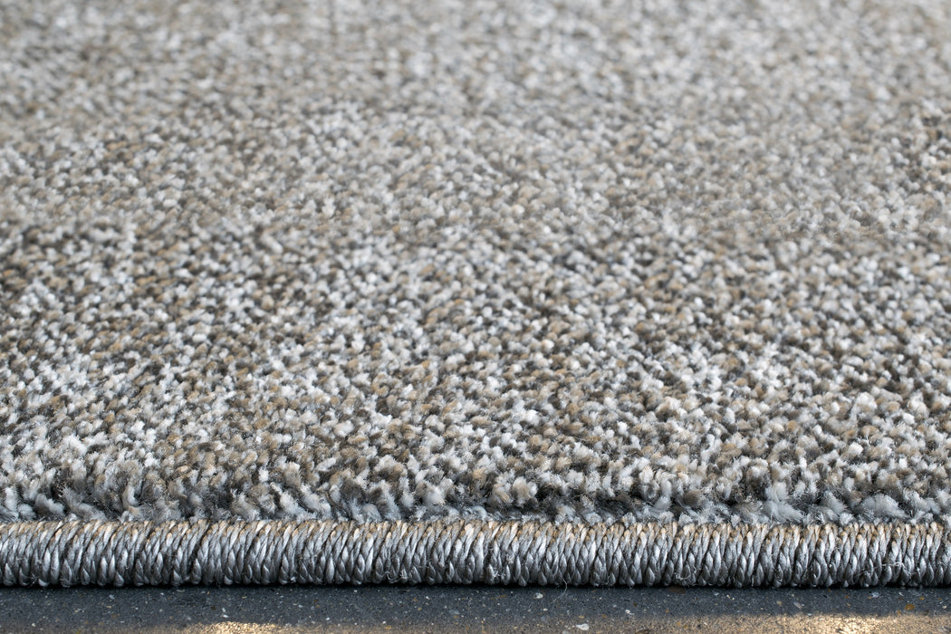 Plain Border Design Madison Rug Size: 200 x 290cm — Rugs Direct