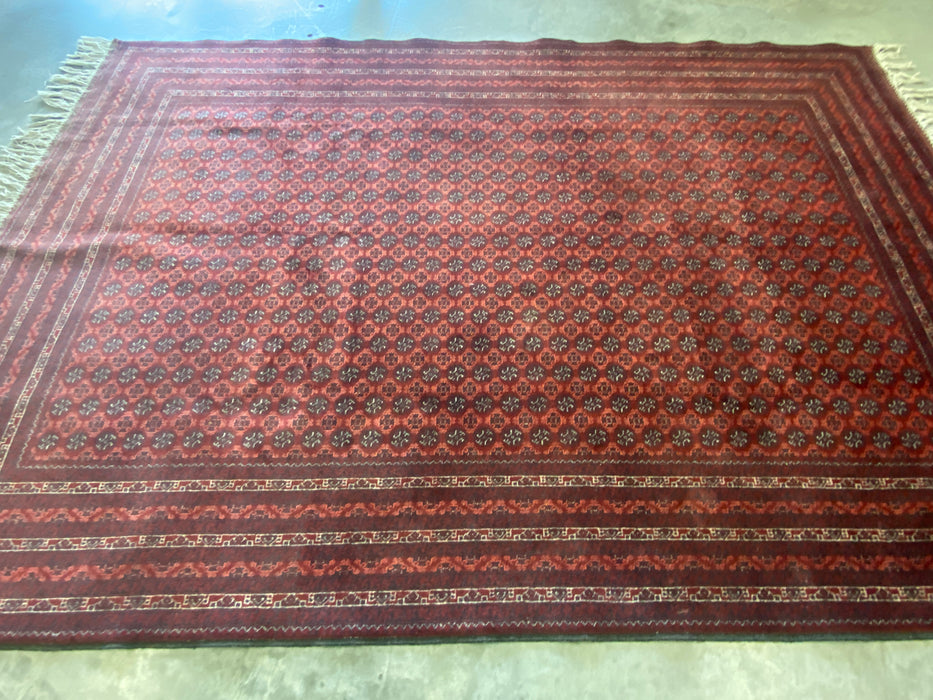 Afghan Hand Knotted Khoja Roshnai Rug Size: 204 x 300cm - Rugs Direct