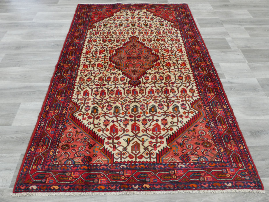 Persian Hand Knotted Hamedan "Asad abad" Rug- Rugs Direct